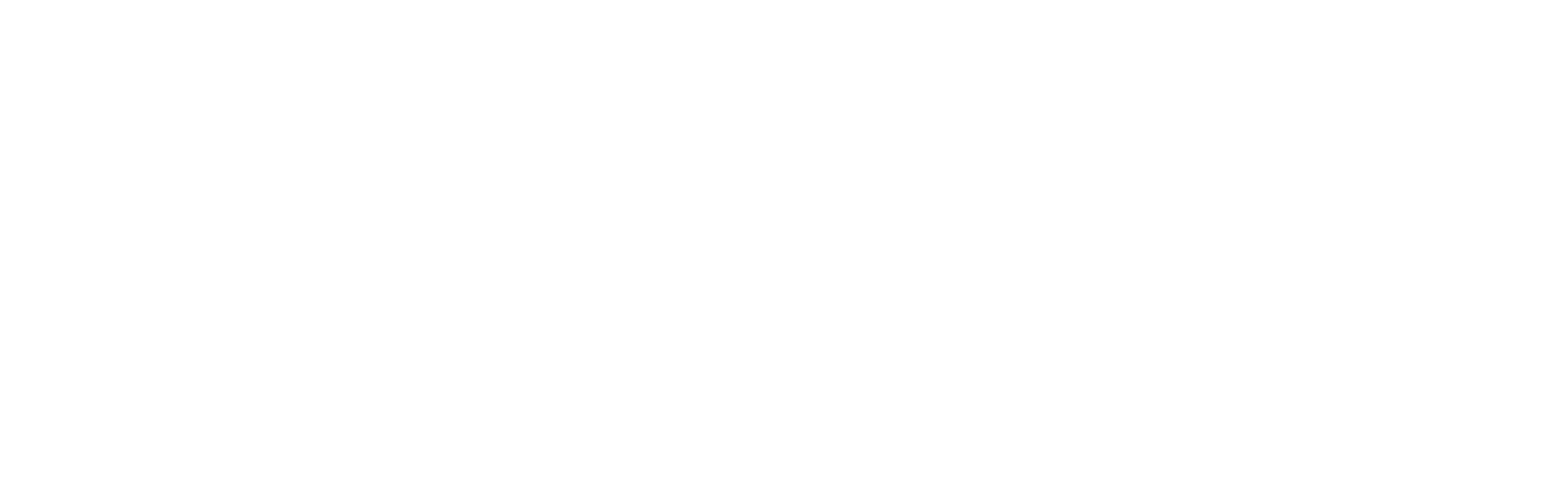 IEEE Computer Society PUCV
